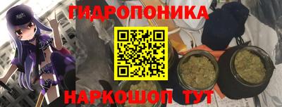 амфетамин Можга