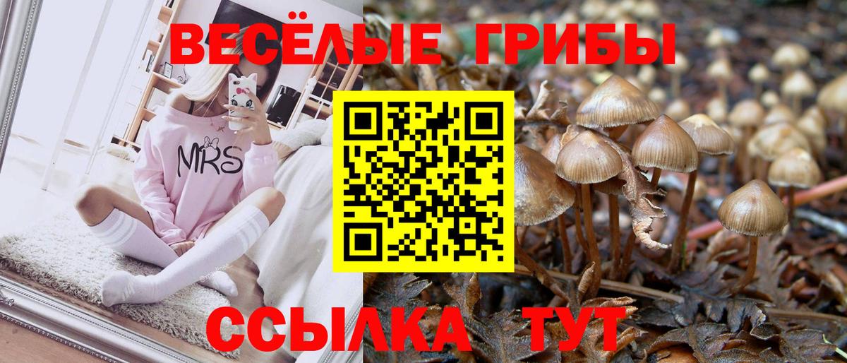 Псилоцибиновые грибы GOLDEN TEACHER  Вход с VPN  Пыть-Ях 
