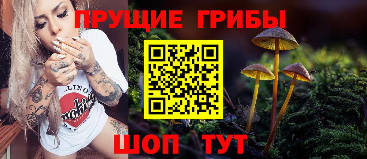 Псилоцибиновые грибы Psilocybine cubensis Пыть-Ях